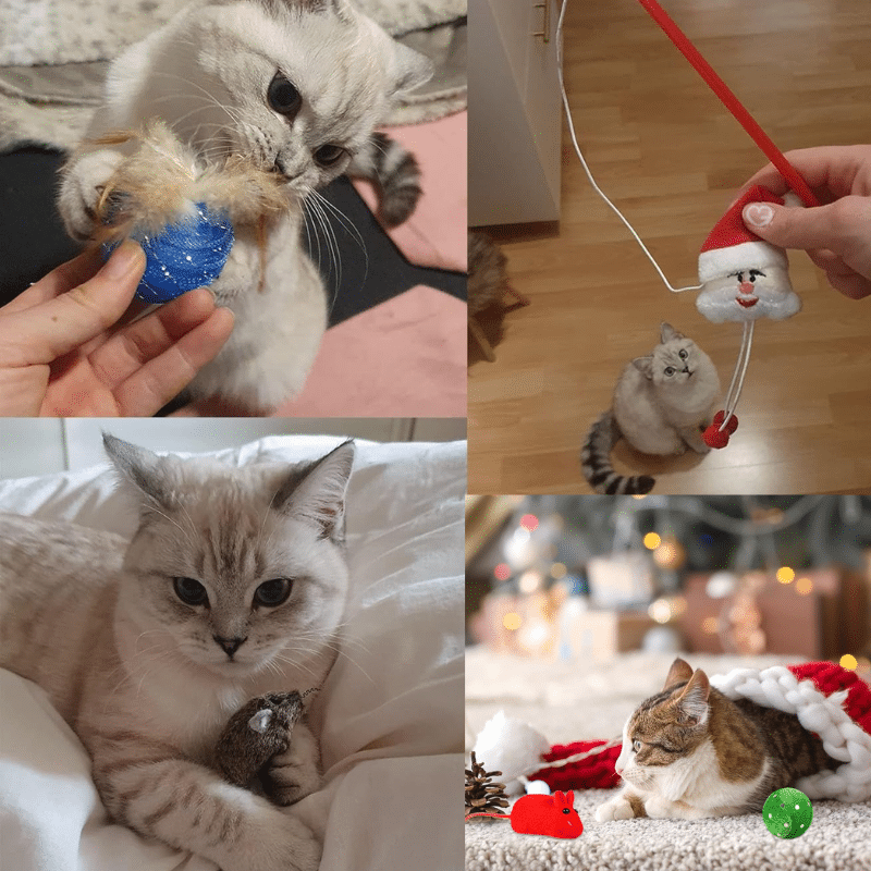 🌟 Christmas Toy Advent Calendar for Cats & Dogs – The Perfect Countdown to Christmas! 🎄